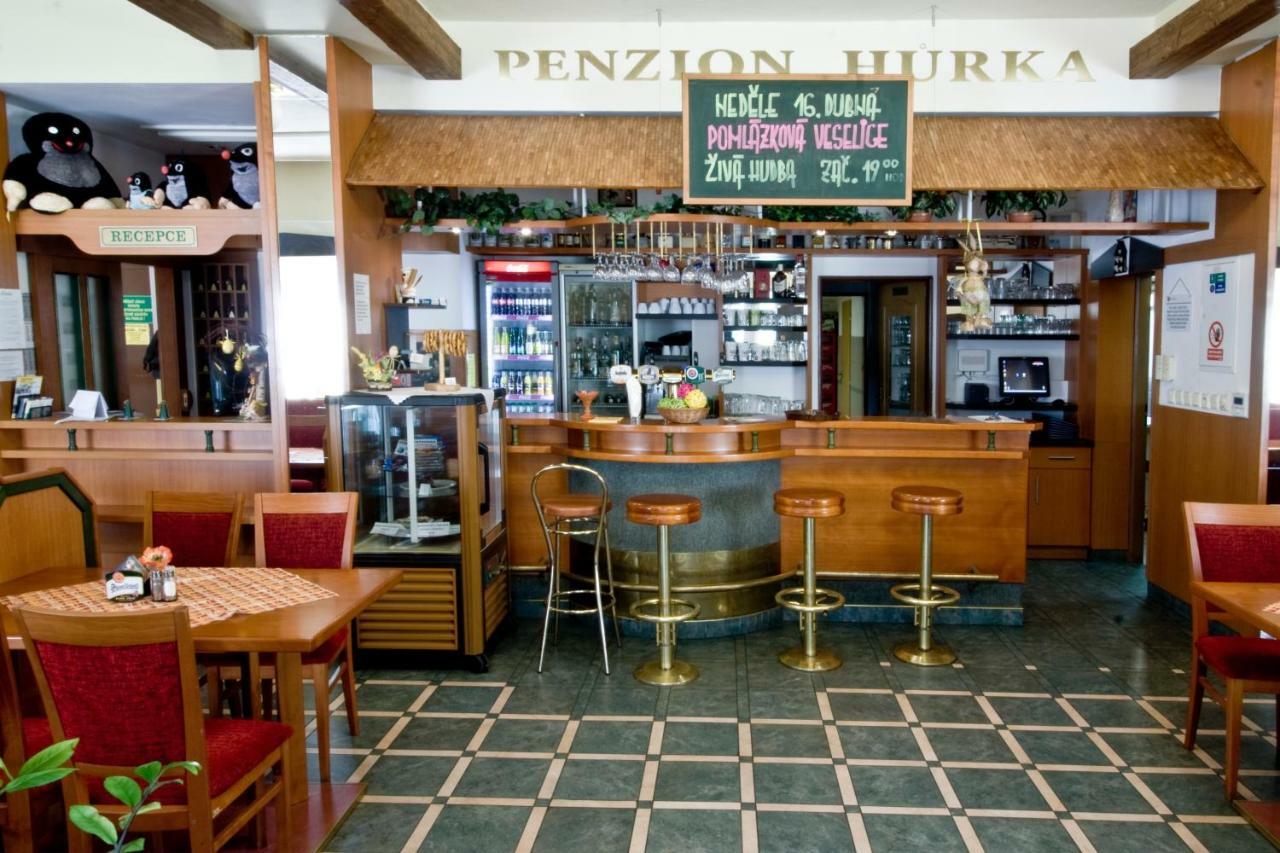Отель Penzion Hurka Dolni Libchavy Экстерьер фото